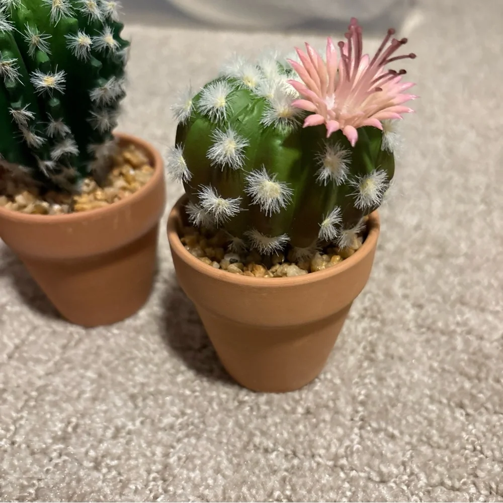 Mini Artificial Cactus Plants in Terracotta Pots 4 Pcs Potted Faux Succulents